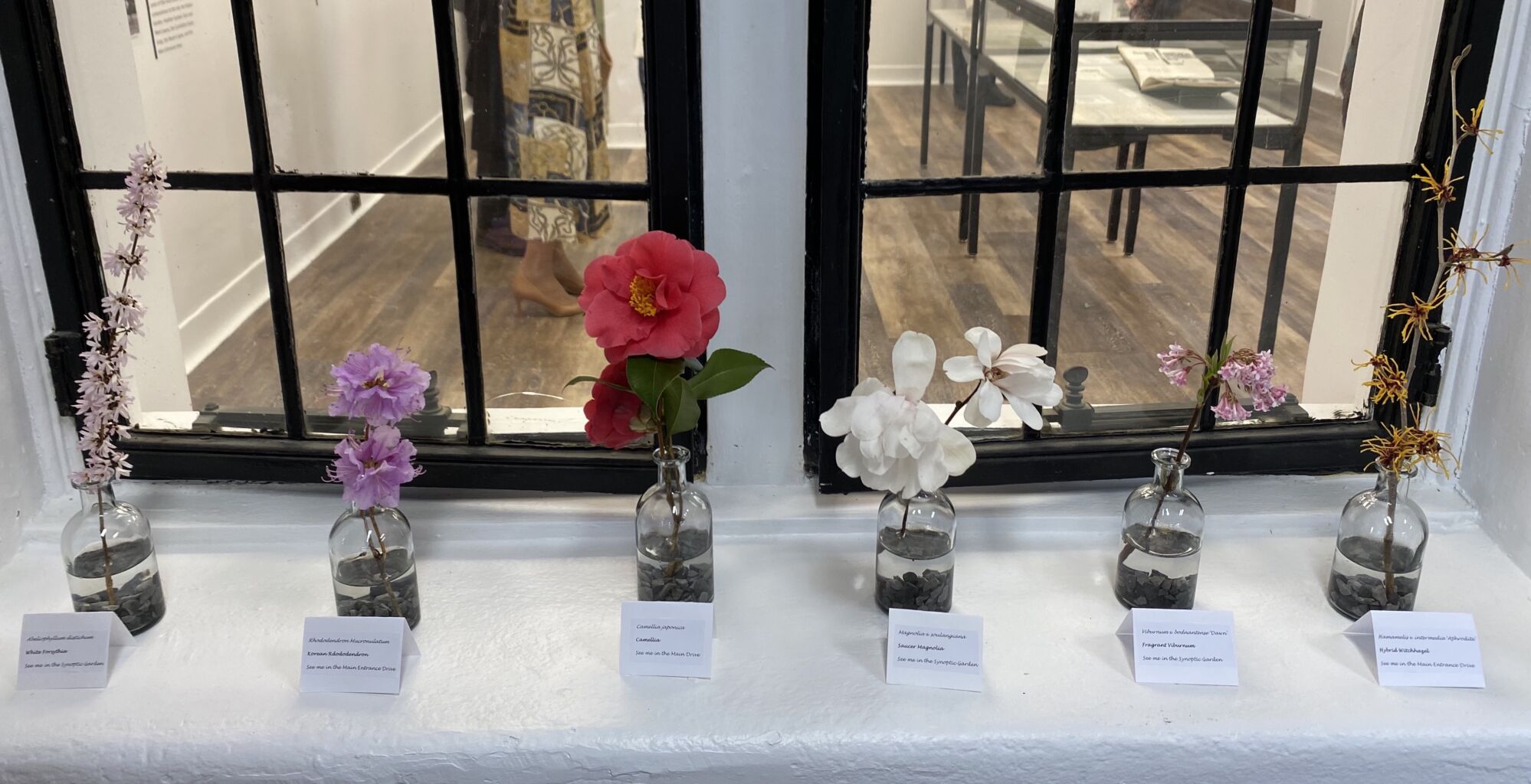 Planting Fields Foundation