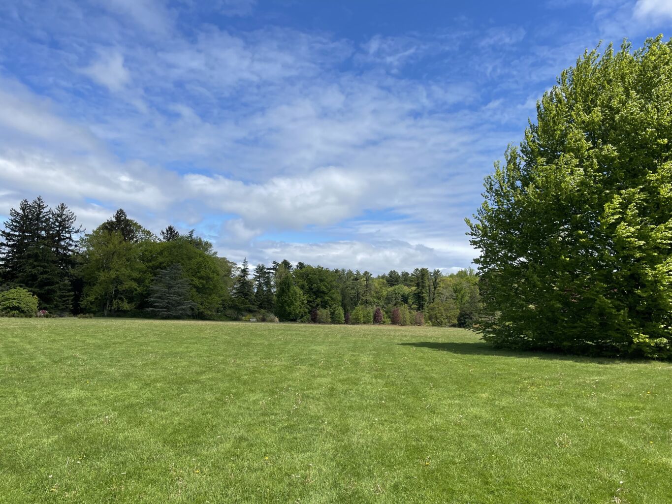 Planting Fields Foundation