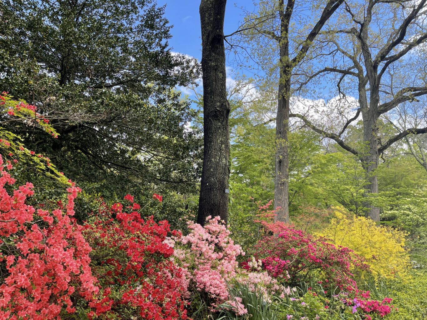 Planting Fields Foundation