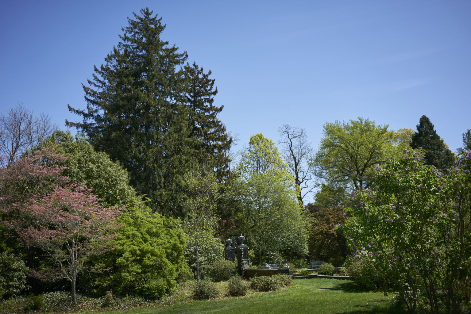 Planting Fields Foundation