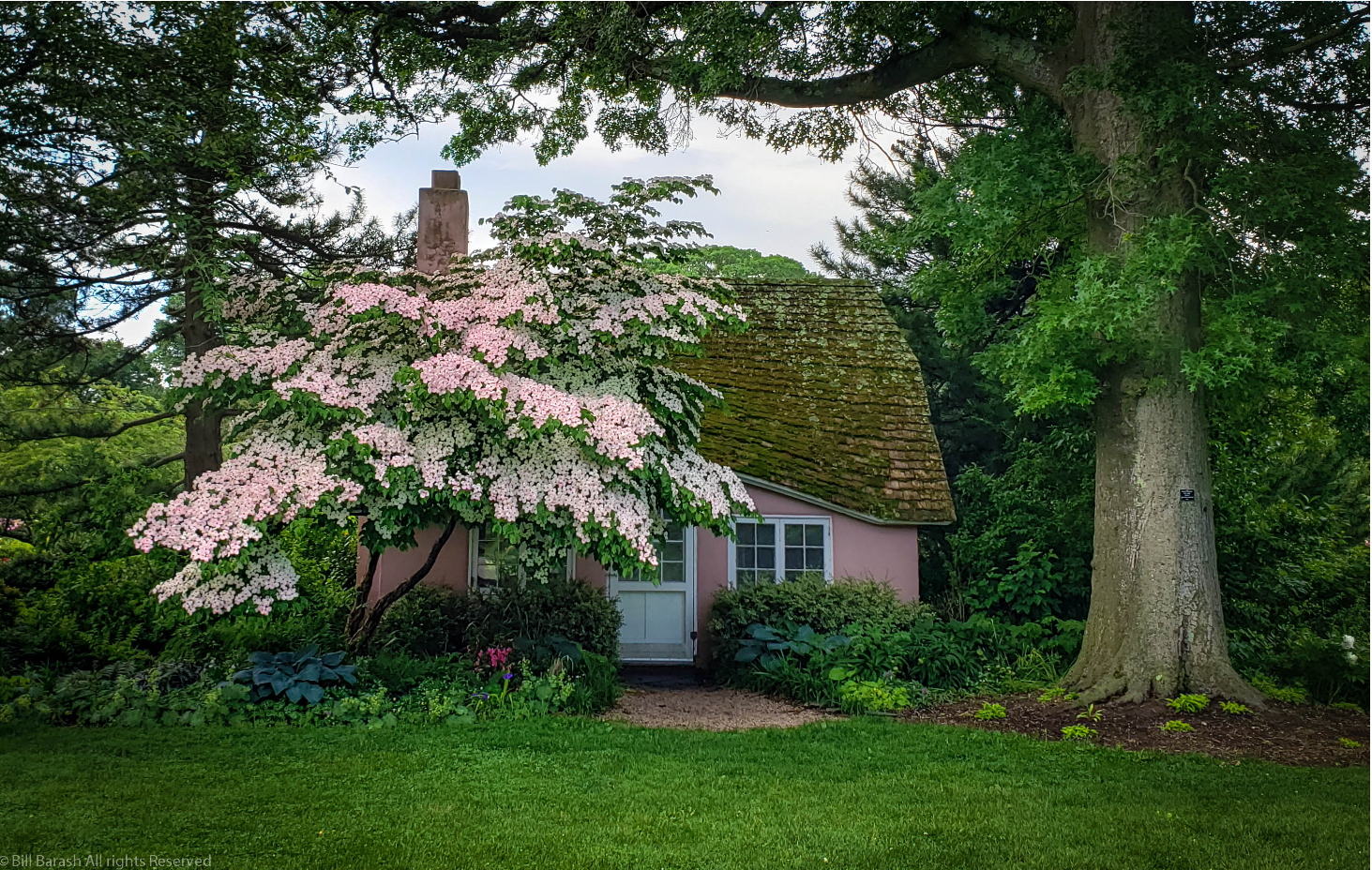 Planting Fields Foundation