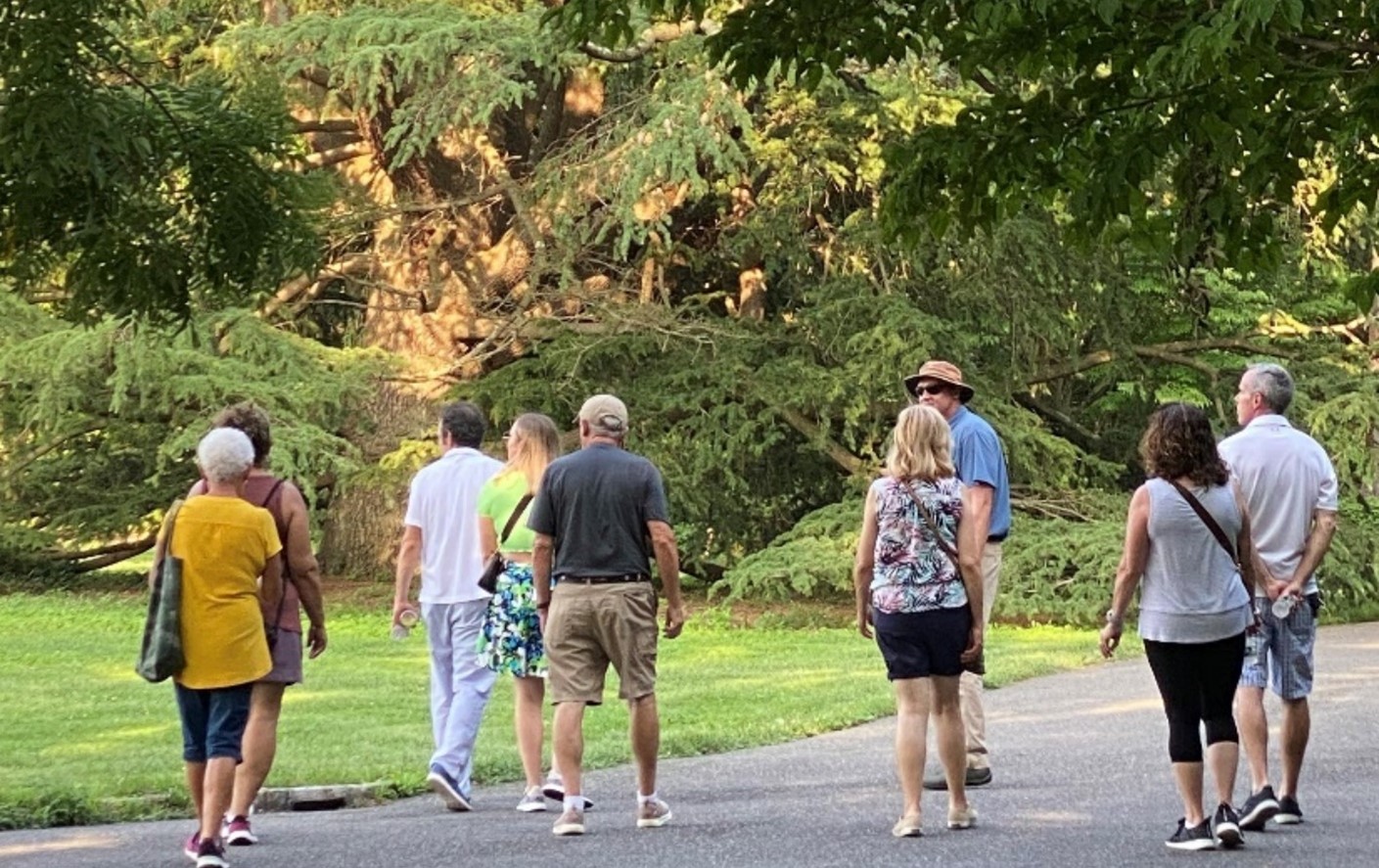 Planting Fields Foundation