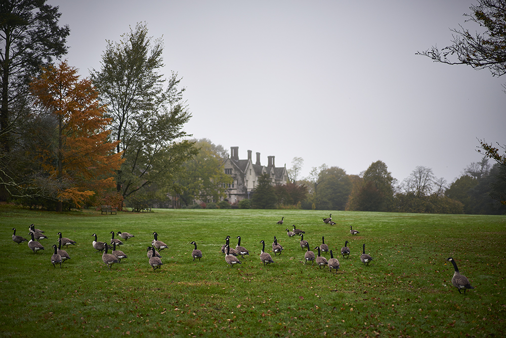 Planting Fields Foundation