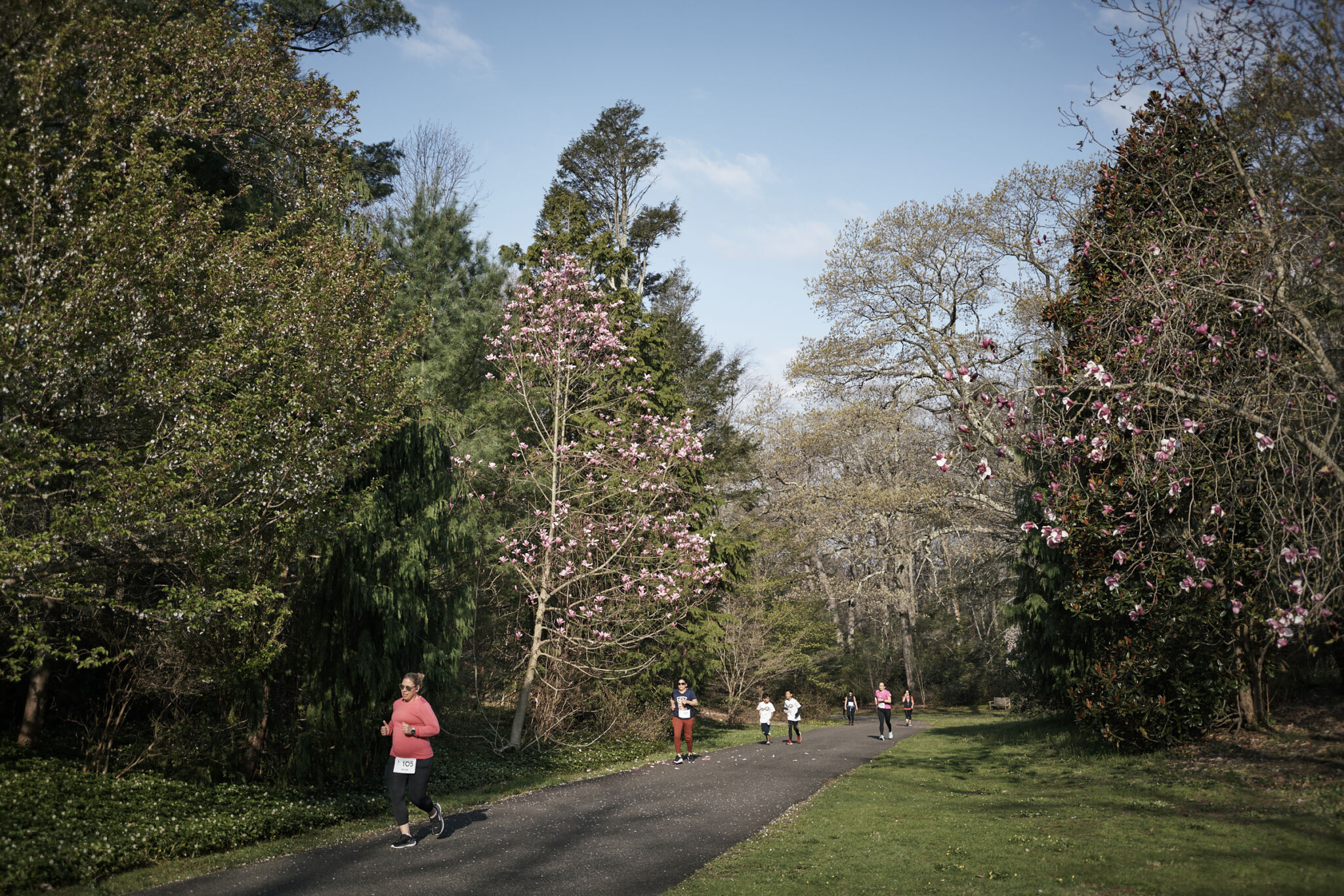 Planting Fields Foundation