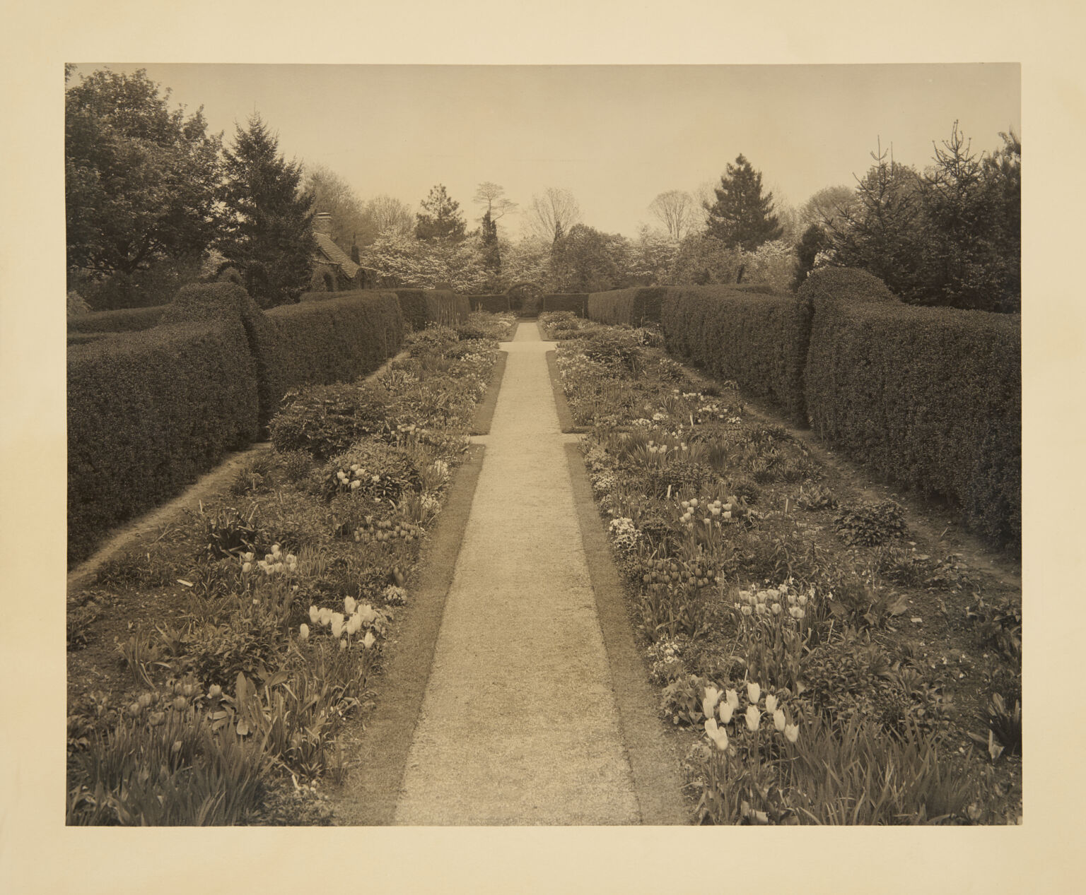 Planting Fields Foundation